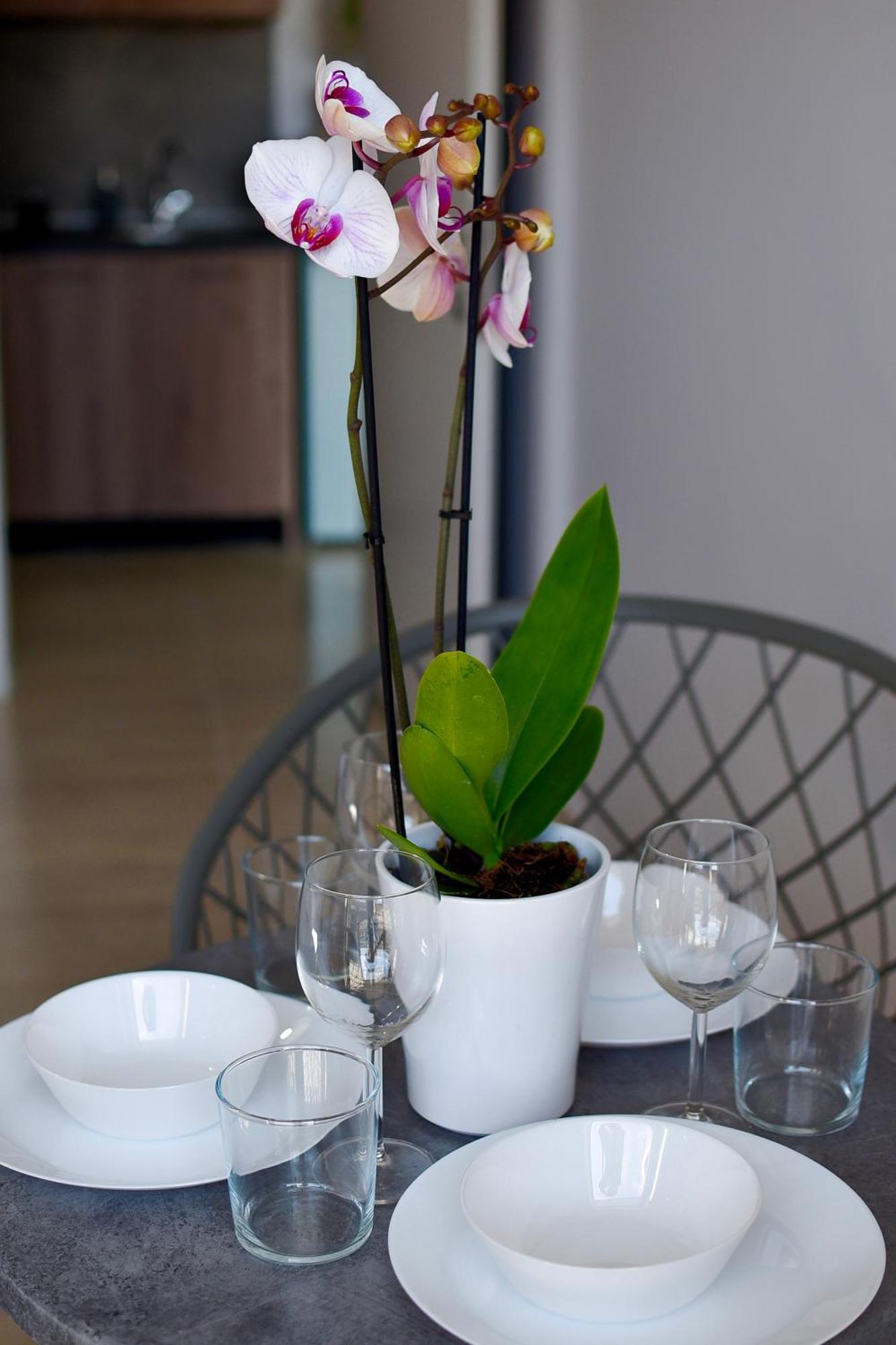 Room Nine 9 Beachfront Apartments Nea Kallikrateia 외부 사진