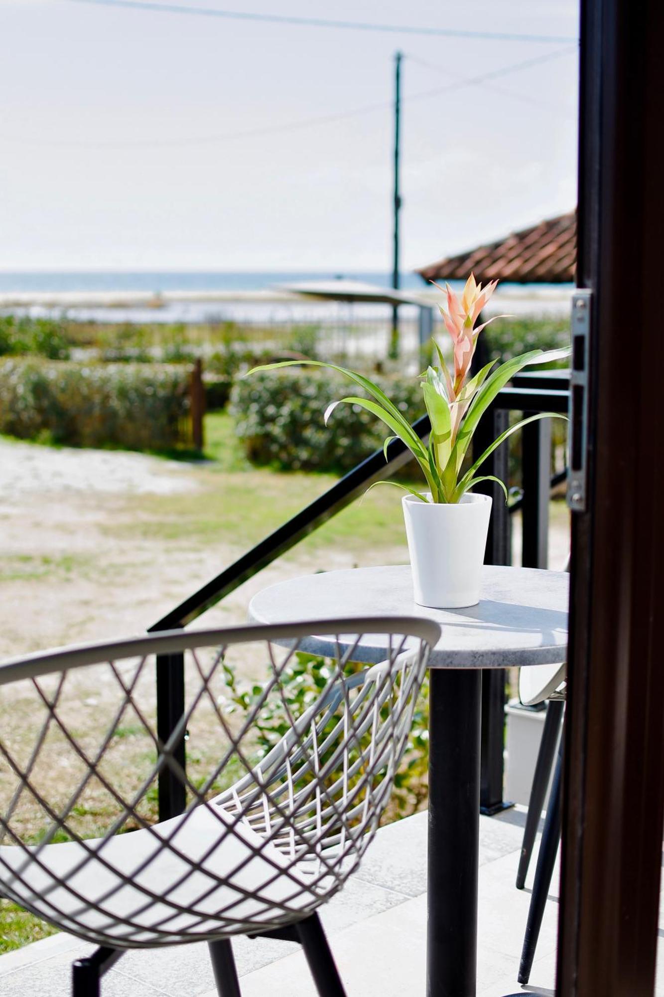 Room Nine 9 Beachfront Apartments Nea Kallikrateia 외부 사진